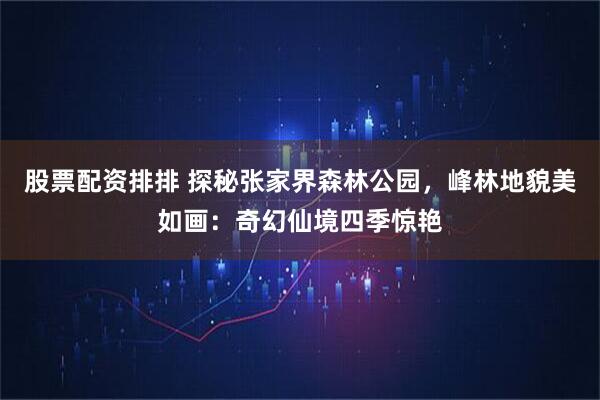 股票配资排排 探秘张家界森林公园，峰林地貌美如画：奇幻仙境四季惊艳